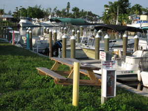 Kayak Rentals