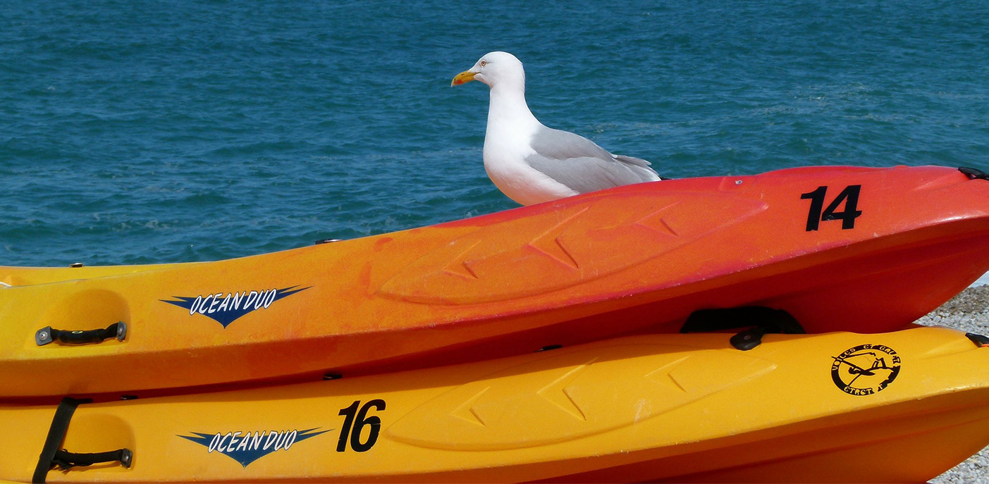Monroe Canal Marina Full Service Marina, Boat Repair and Boat Launch