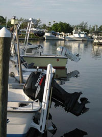 Kayak Rentals